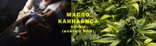 spice Алзамай