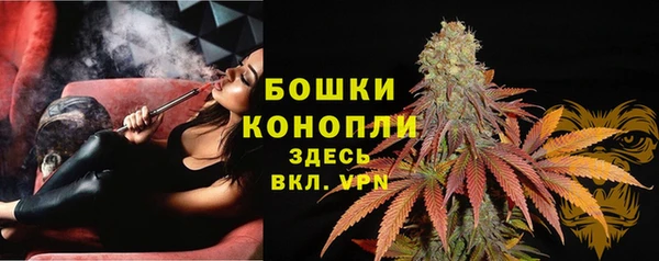 spice Алзамай