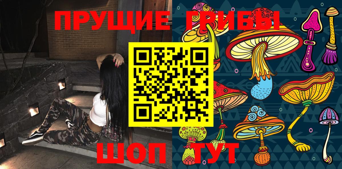 Псилоцибиновые грибы мицелий Находка