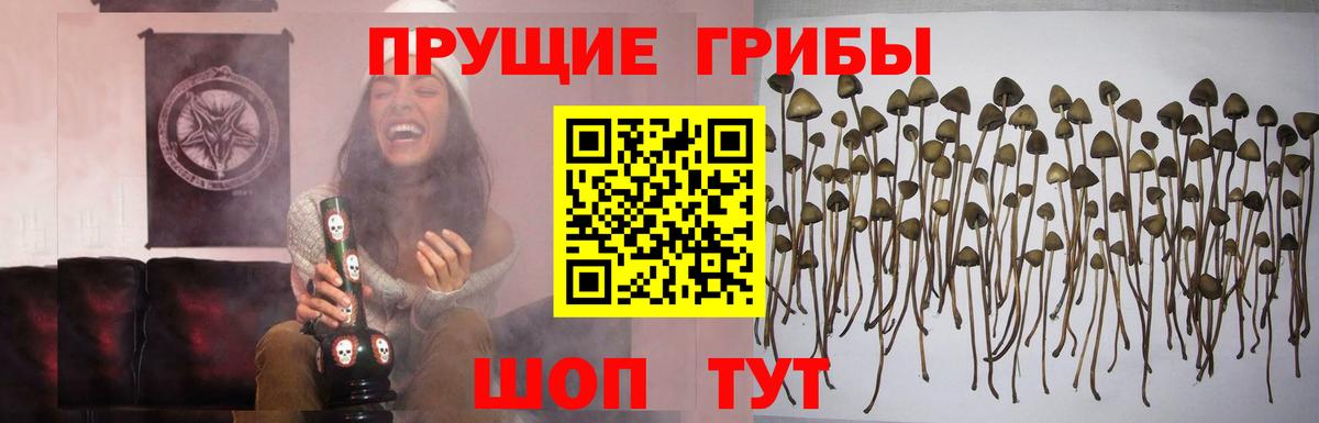 Псилоцибиновые грибы ЛСД  Псилоцибиновые грибы Cubensis  Находка  Вход с VPN 